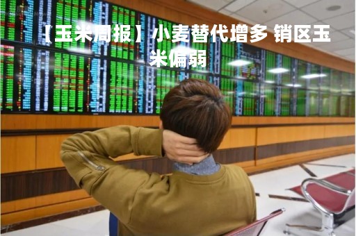 【玉米周报】小麦替代增多 销区玉米偏弱