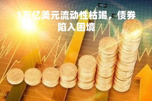 1万亿美元流动性枯竭，债券陷入困境