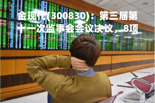 金现代(300830)：第三届第十一次监事会会议决议，8项议案获通过