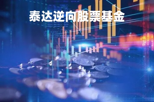 泰达逆向股票基金「泰达转型机遇股票基金」
