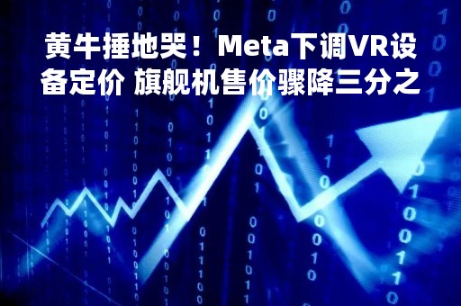 黄牛捶地哭！Meta下调VR设备定价 旗舰机售价骤降三分之一
