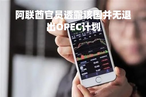 阿联酋官员透露该国并无退出OPEC计划