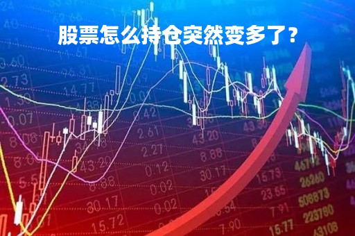 股票怎么持仓突然变多了? 股票怎么持仓突然变多了?