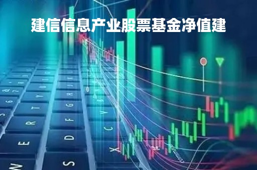 建信信息产业股票基金净值建「建信基金000693净值」