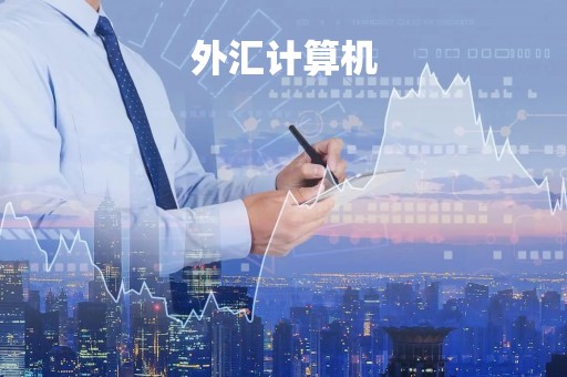 外汇计算机「外汇计算机软件服务费」