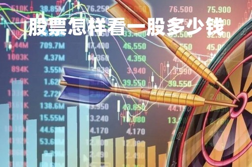股票怎样看一股多少钱「股票怎样看一股多少钱了」