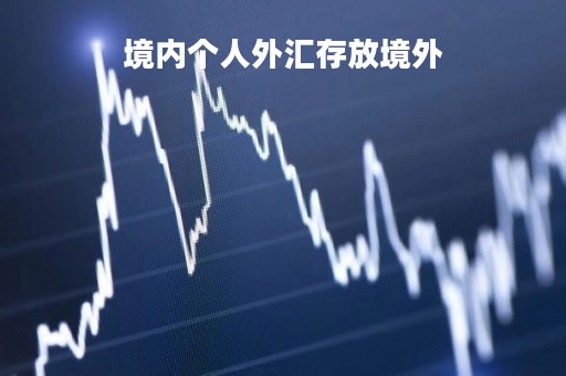 境内个人外汇存放境外「境内外个人向外汇储蓄账户存入外币现钞」