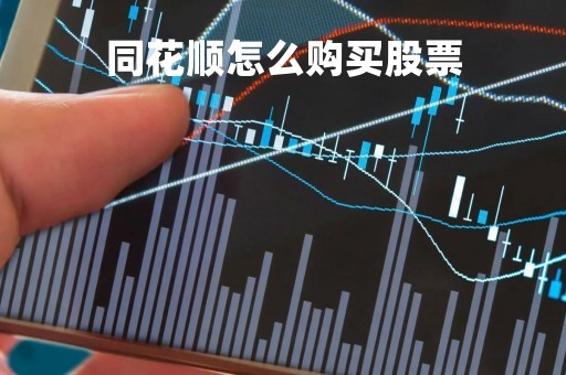 同花顺怎么购买股票「同花顺上怎么买股票」