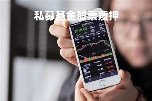 私募基金股票质押「公募基金质押」