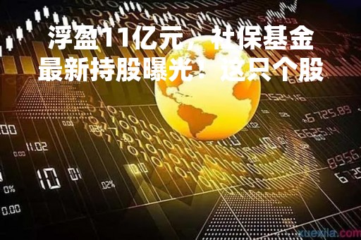 浮盈11亿元，社保基金最新持股曝光！这只个股被减持