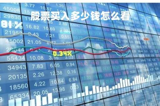 股票买入多少钱怎么看「股票查看买了多少钱是从哪看」