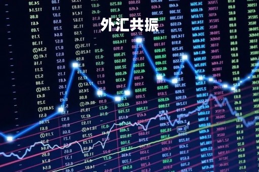 外汇共振「外汇共振交易赚翻了」
