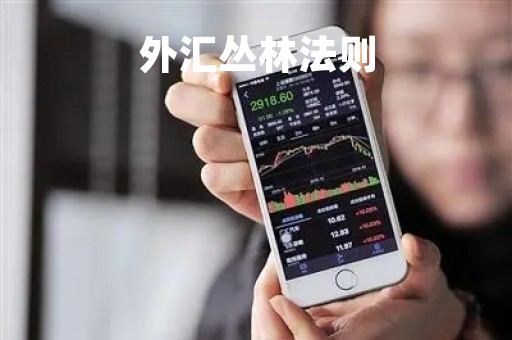 外汇丛林法则「外汇策略模型」