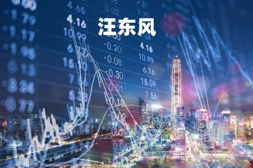 汪东风