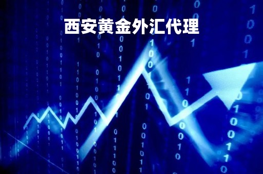 西安黄金外汇代理「西安黄金外汇代理有限公司」