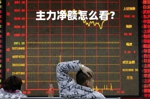 主力净额怎么看？