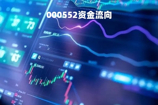 000552资金流向