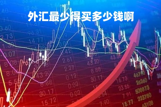 外汇最少得买多少钱啊「外汇最少得买多少钱啊现在」