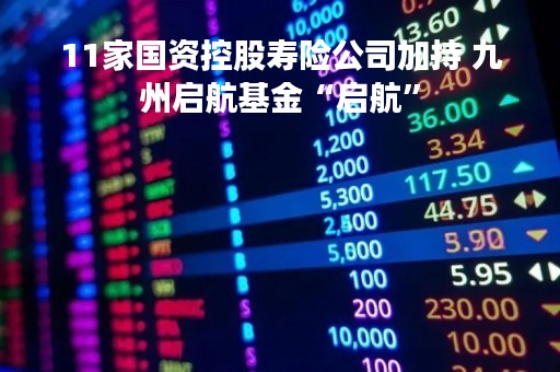 11家国资控股寿险公司加持 九州启航基金“启航”