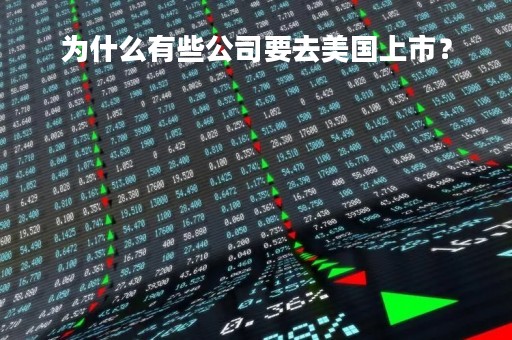 为什么有些公司要去美国上市？
