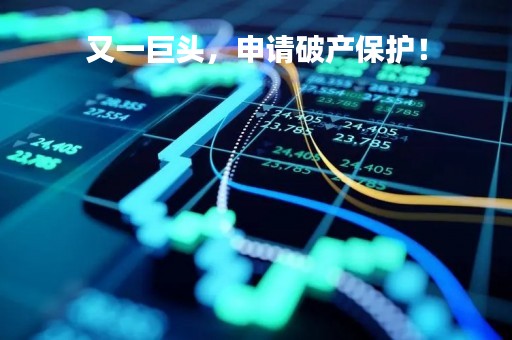 又一巨头，申请破产保护！