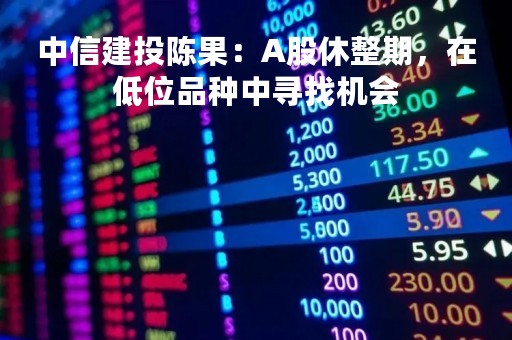 中信建投陈果：A股休整期，在低位品种中寻找机会
