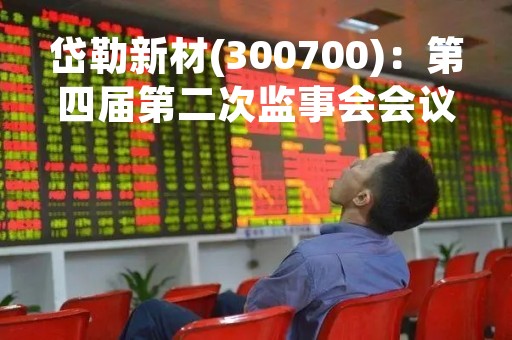 岱勒新材(300700)：第四届第二次监事会会议决议，13项议案获通过