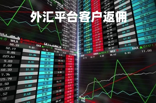 外汇平台客户返佣「外汇平台客户返佣什么意思」