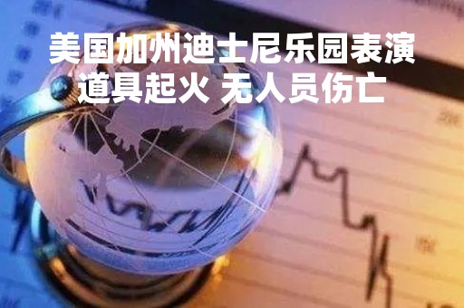 美国加州迪士尼乐园表演道具起火 无人员伤亡