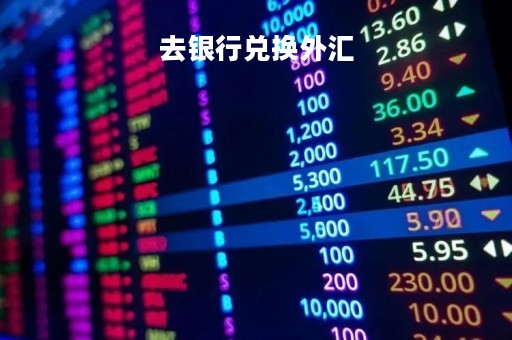 去银行兑换外汇「去银行兑换外汇有限额吗」