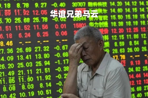 华谊兄弟马云