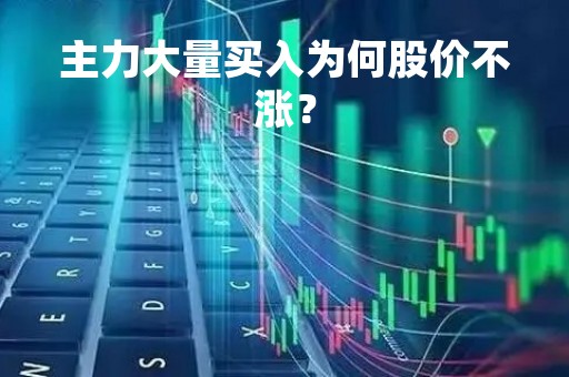 主力大量买入为何股价不涨？
