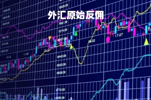 外汇原始反佣「外汇交易返点」