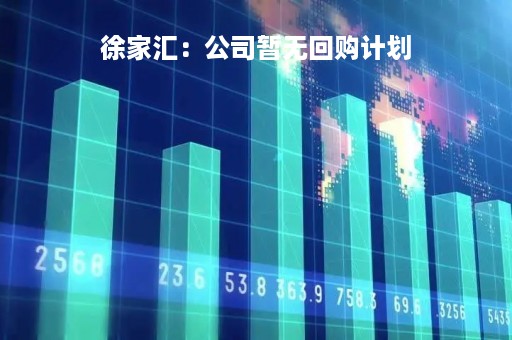 徐家汇：公司暂无回购计划