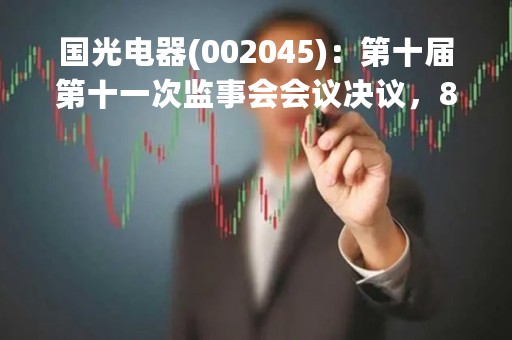 国光电器(002045)：第十届第十一次监事会会议决议，8项议案获通过