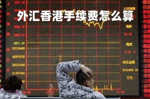 外汇香港手续费怎么算「外汇到香港」