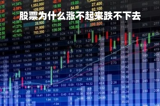 股票为什么涨不起来跌不下去「股票涨不上去也跌不下来」