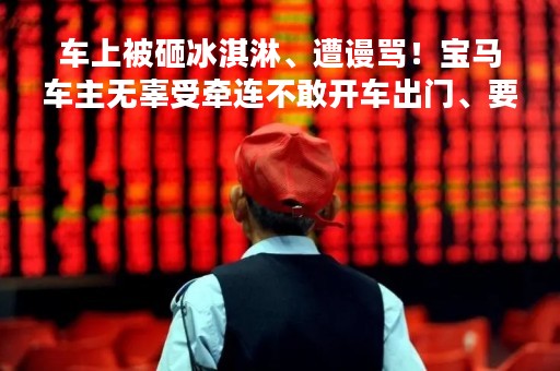 车上被砸冰淇淋、遭谩骂！宝马车主无辜受牵连不敢开车出门、要贱卖车：求理性
