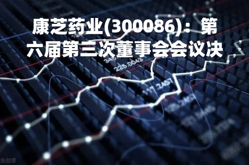 康芝药业(300086)：第六届第三次董事会会议决议，审议2项议案获通过