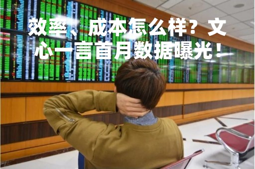 效率、成本怎么样？文心一言首月数据曝光！