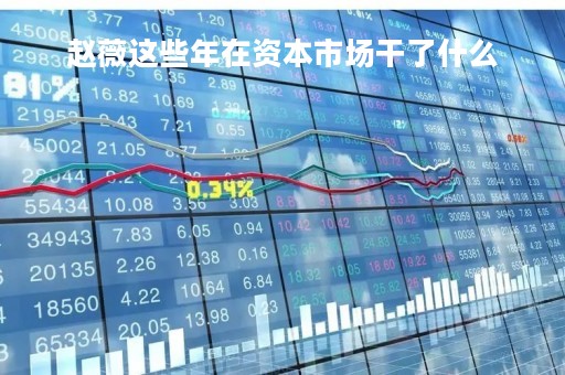 赵薇这些年在资本市场干了什么