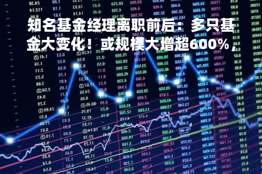 知名基金经理离职前后：多只基金大变化！或规模大增超600%，或十大重仓股“大换血”