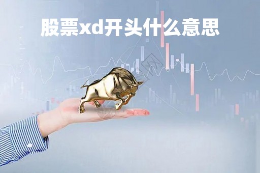 股票xd开头什么意思