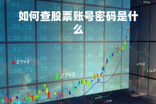 如何查股票账号密码是什么「股票账号如何查询」