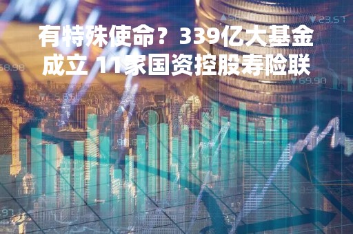 有特殊使命？339亿大基金成立 11家国资控股寿险联手出资！