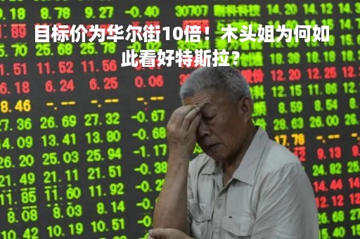 目标价为华尔街10倍！木头姐为何如此看好特斯拉？