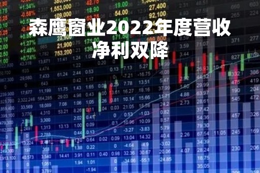 森鹰窗业2022年度营收净利双降