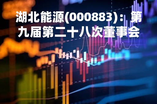 湖北能源(000883)：第九届第二十八次董事会会议决议，审议4项议案获通过