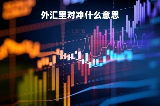 外汇里对冲什么意思「外汇对冲是什么意思,是作弊吗」