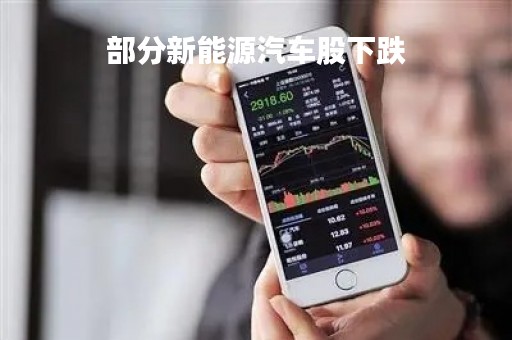 部分新能源汽车股下跌